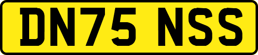 DN75NSS
