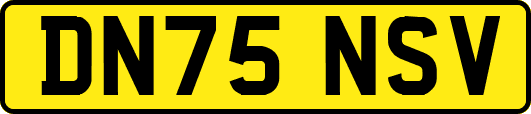 DN75NSV