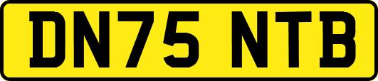 DN75NTB
