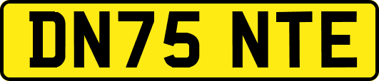 DN75NTE