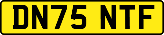 DN75NTF
