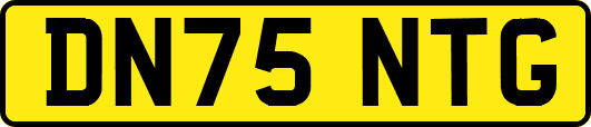 DN75NTG