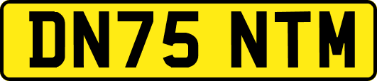 DN75NTM