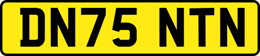 DN75NTN