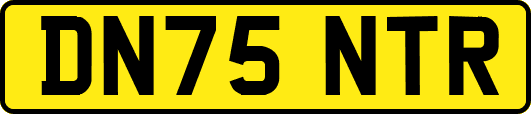 DN75NTR
