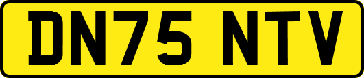 DN75NTV