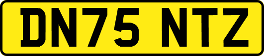 DN75NTZ
