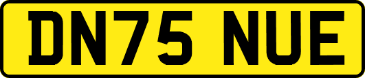 DN75NUE