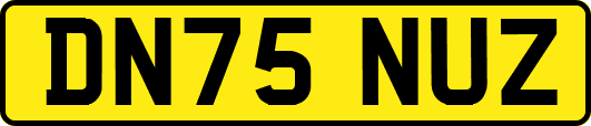 DN75NUZ