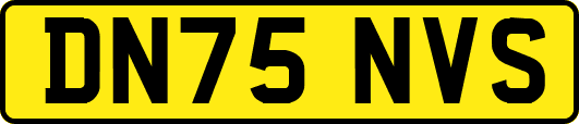 DN75NVS