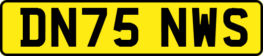 DN75NWS