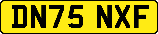 DN75NXF