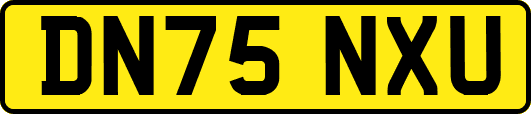 DN75NXU