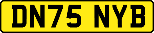 DN75NYB