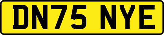 DN75NYE