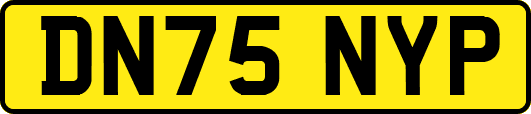 DN75NYP