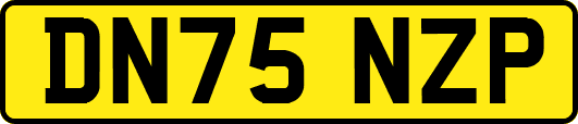 DN75NZP