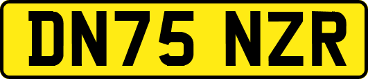 DN75NZR
