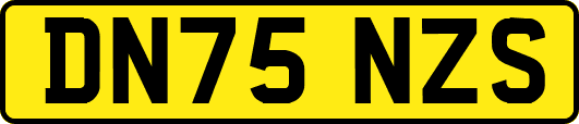 DN75NZS