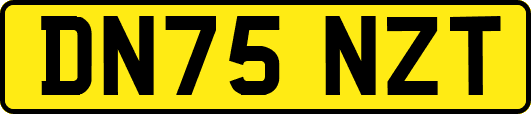 DN75NZT
