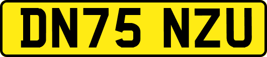 DN75NZU