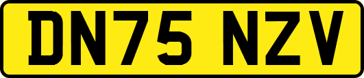 DN75NZV
