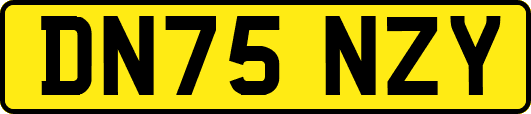 DN75NZY