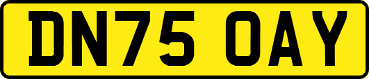 DN75OAY