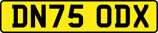 DN75ODX