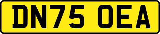 DN75OEA