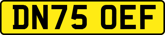 DN75OEF