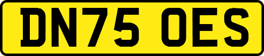 DN75OES