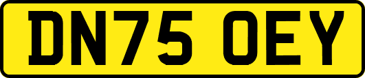 DN75OEY