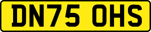 DN75OHS