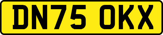 DN75OKX