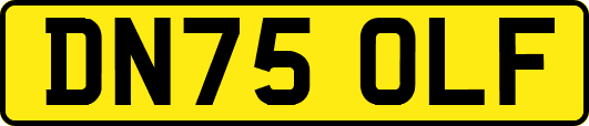 DN75OLF