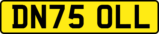 DN75OLL