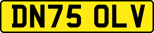 DN75OLV