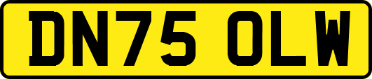 DN75OLW