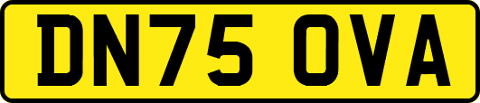 DN75OVA