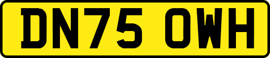 DN75OWH