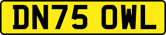 DN75OWL
