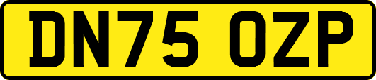 DN75OZP