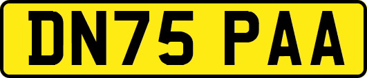 DN75PAA