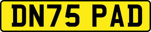 DN75PAD