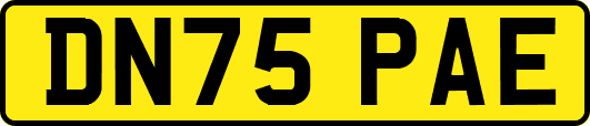 DN75PAE