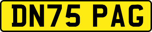 DN75PAG