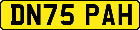 DN75PAH