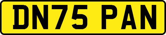 DN75PAN