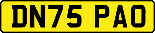 DN75PAO
